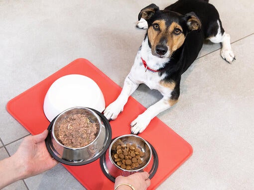 Purina Your Pet Our Passion